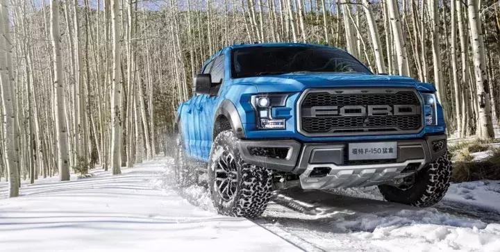 猛禽可以上牌吗,猛禽能上京牌么