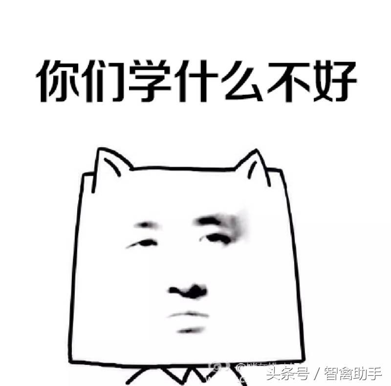 小鸡啄肛什么原因,鸡子啄鸡蛋是什么原因