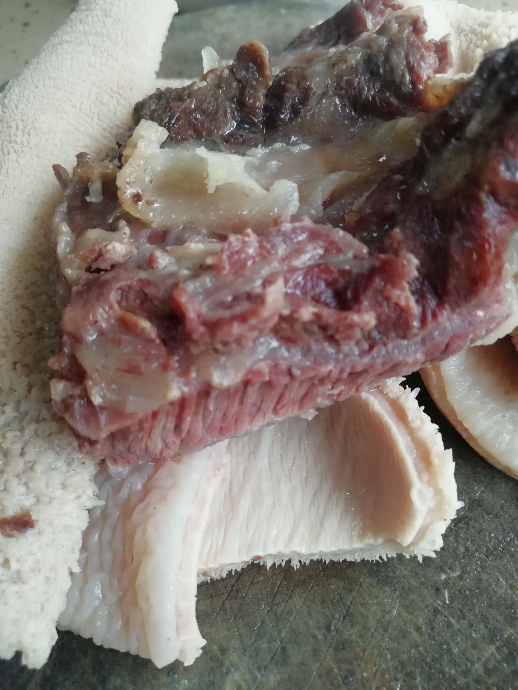 牛肚怎么煮才烂糊,牛肚牛肉怎么煮容易烂