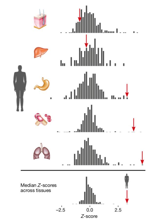 自然杂志最新人类基因研究,自然杂志最新研究