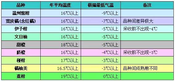 柑橘种植前有哪些关注事项,柑橘种植前要关注什么