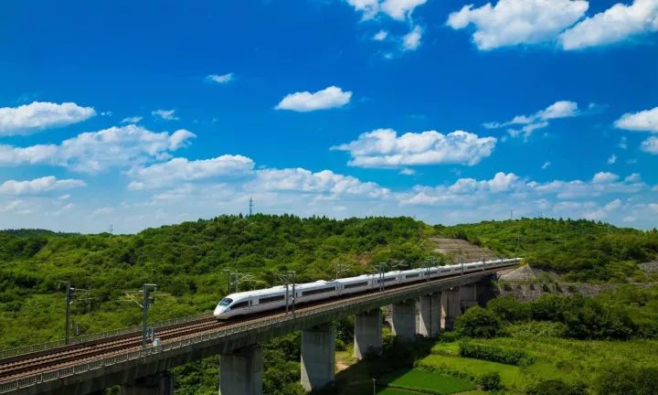 「红棉·长河」三棵古树牵出的百年铁路