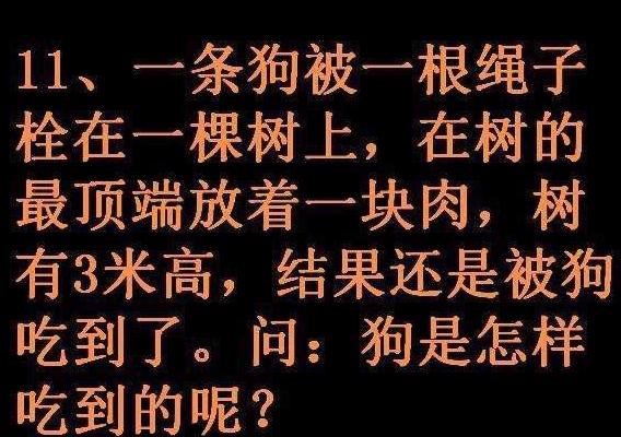 幽默的女汉子文案,说女汉子幽默一点该怎么说