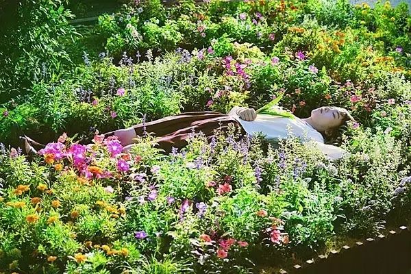 这些黑心萝莉，让我如此反胃