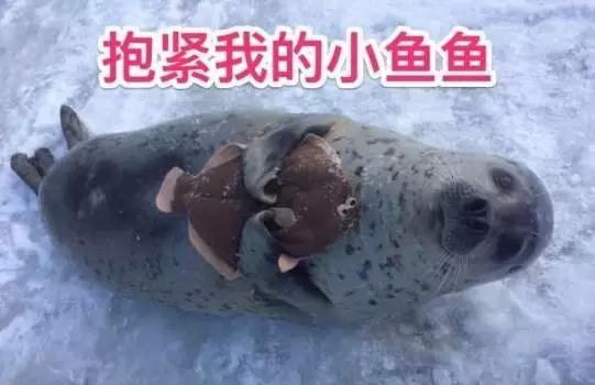 m8s动漫联名版,美图m8美少女战士限量版