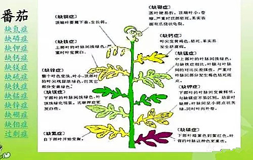 土壤酸碱度偏高有什么危害,土壤偏碱性对农作物的危害