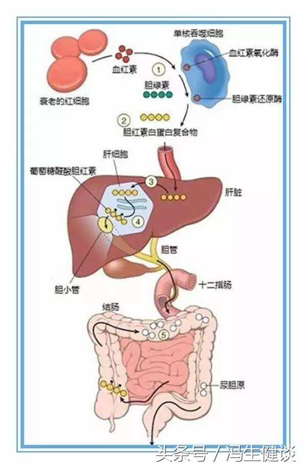 宝宝拉绿色的便便是怎么回事,宝宝拉绿色的便便是怎么回事呢