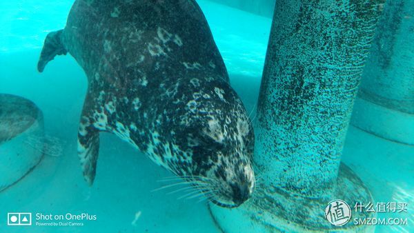 日本一日游皇居,自由行日本皇居攻略