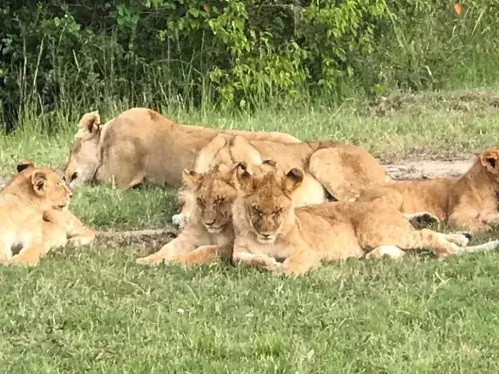 曾哥美国视频,曾哥美国