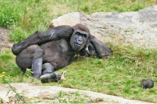 超级搞笑图片二十张不信你不笑,搞笑的图片笑到肚子痛