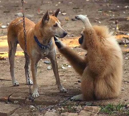 超级搞笑图片二十张不信你不笑,搞笑的图片笑到肚子痛