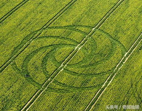 麦田怪圈为什么没有人造,麦田怪圈是外星人制造还是人造