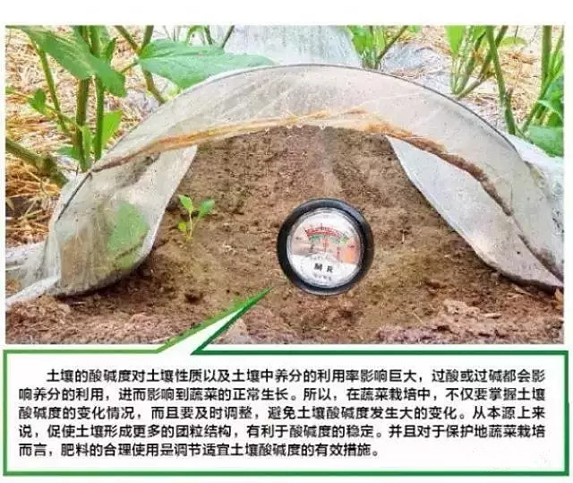 土壤酸碱度偏高有什么危害,土壤偏碱性对农作物的危害