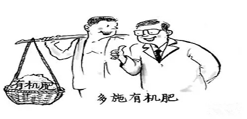 土壤酸碱度偏高有什么危害,土壤偏碱性对农作物的危害