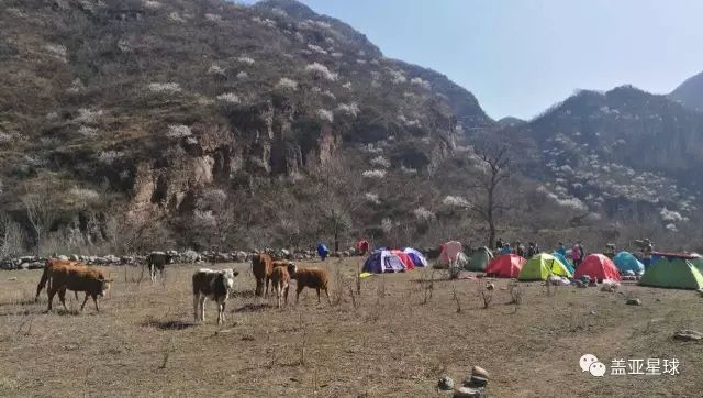 活动｜有情怀的活动之-LNT工作坊