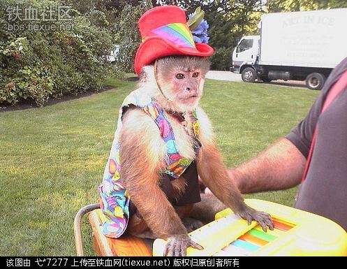 超级搞笑图片二十张不信你不笑,搞笑的图片笑到肚子痛