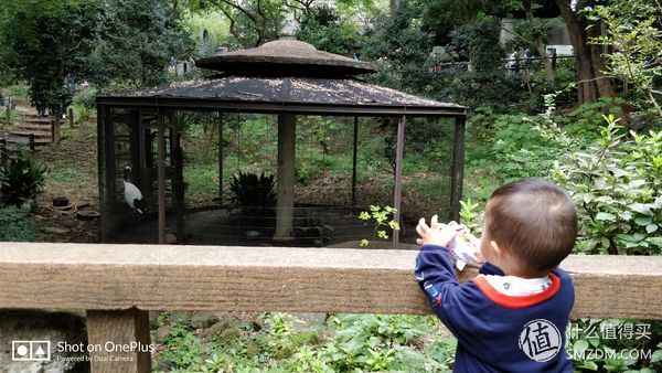 日本一日游皇居,自由行日本皇居攻略