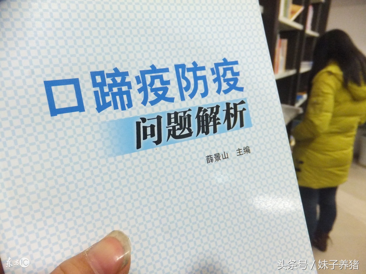 猪打口蹄疫疫苗应激,猪打口蹄疫疫苗要关注什么