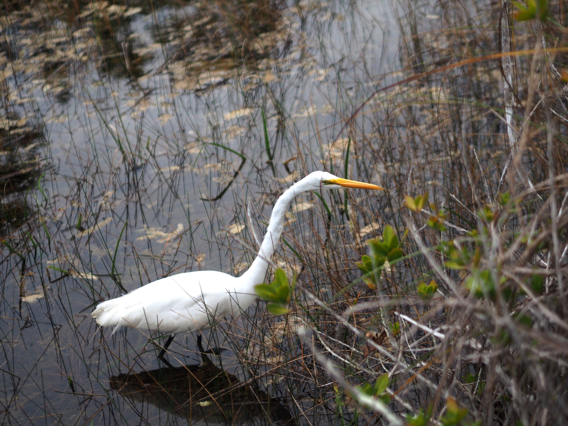 美国自驾游攻略最新,美国旅游攻略自由行