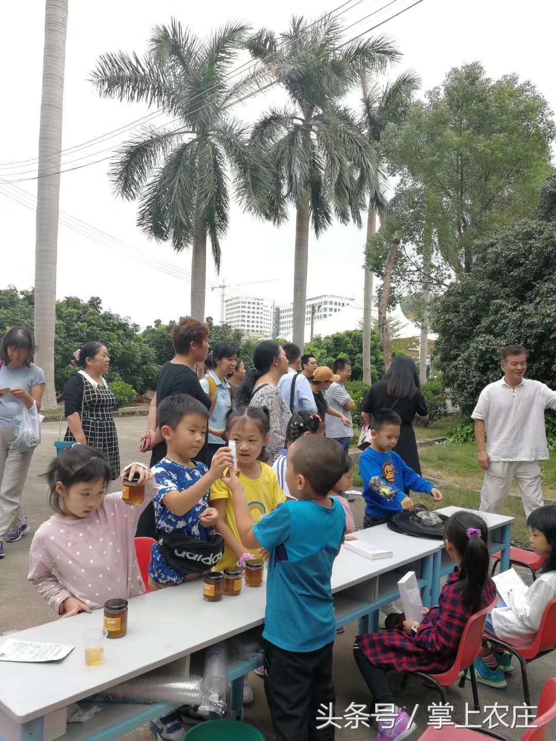 小萌豆自然学堂碧岭营地的蜜蜂课堂