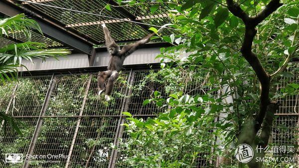 日本一日游皇居,自由行日本皇居攻略