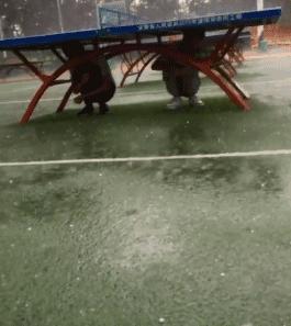 超级搞笑图片二十张不信你不笑,搞笑的图片笑到肚子痛