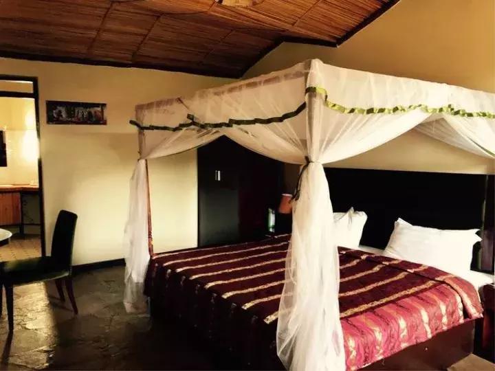 曾哥美国视频,曾哥美国