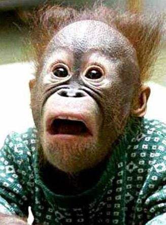 超级搞笑图片二十张不信你不笑,搞笑的图片笑到肚子痛