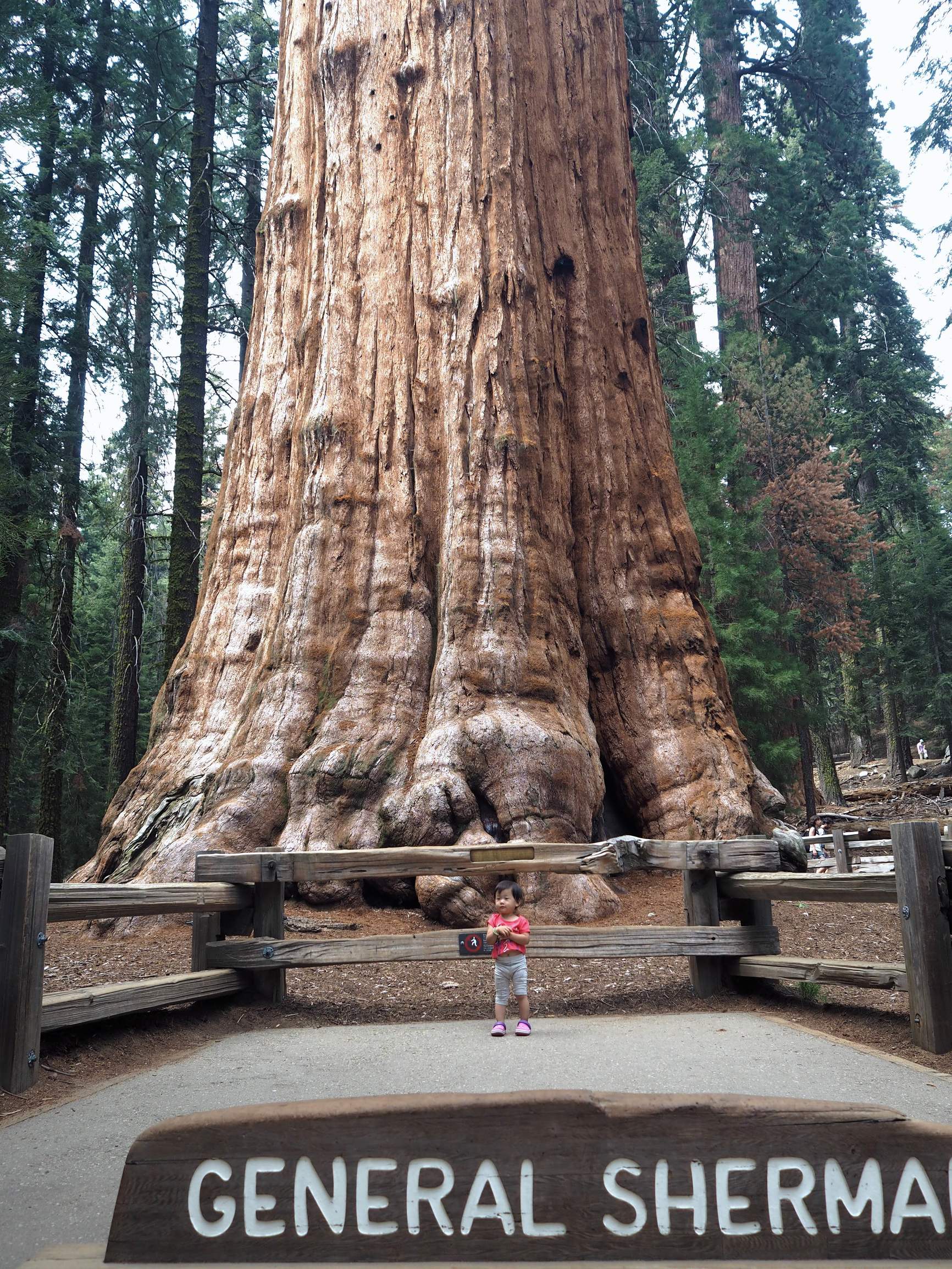 美国自驾游攻略最新,美国旅游攻略自由行