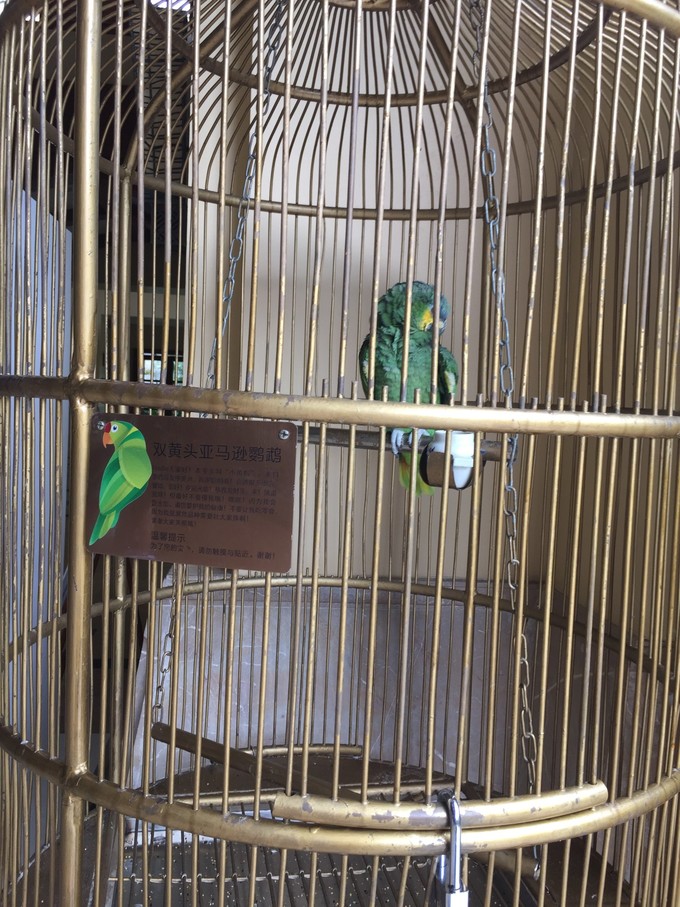 我们和孩子一起去三亚旅行,一大两小亲子三亚游