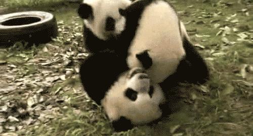 据说只要看到这双“雪地靴”，姑娘们都会挪不动脚！