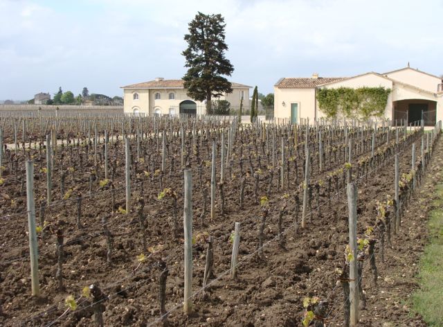 波尔多最贵的酒不是拉菲是谁,波尔多葡萄酒世界地位