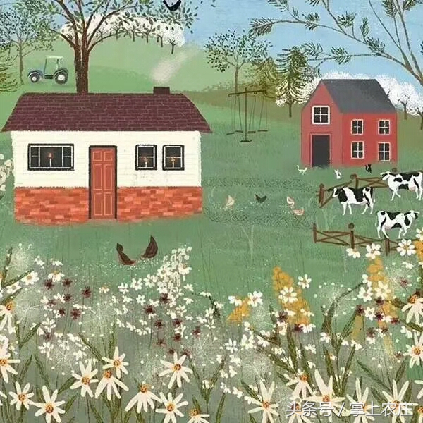 小萌豆自然学堂碧岭营地的蜜蜂课堂