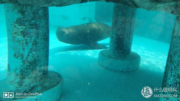 日本一日游皇居,自由行日本皇居攻略