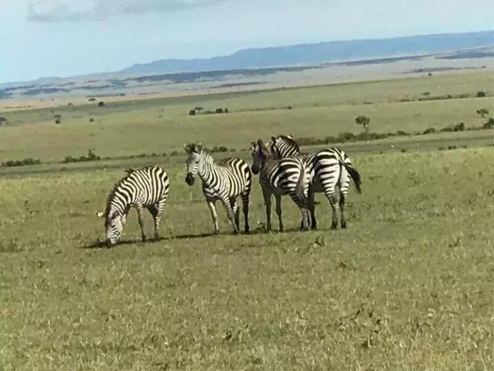曾哥美国视频,曾哥美国