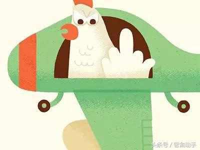 小鸡啄肛什么原因,鸡子啄鸡蛋是什么原因