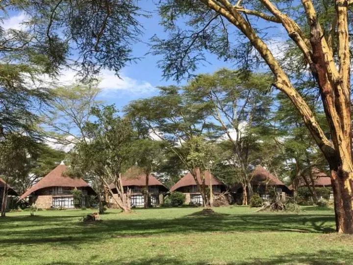 曾哥美国视频,曾哥美国