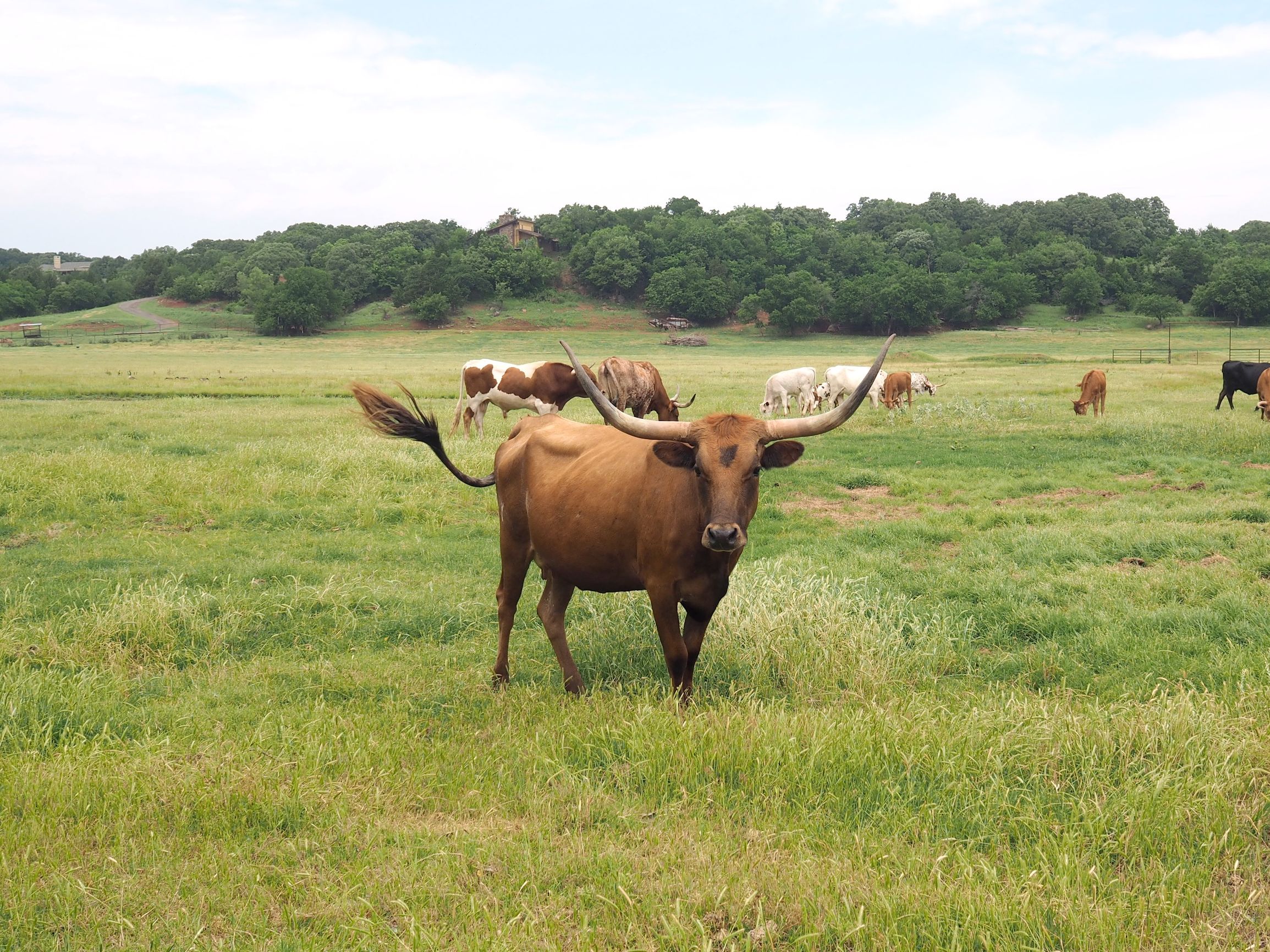 美国自驾游攻略最新,美国旅游攻略自由行