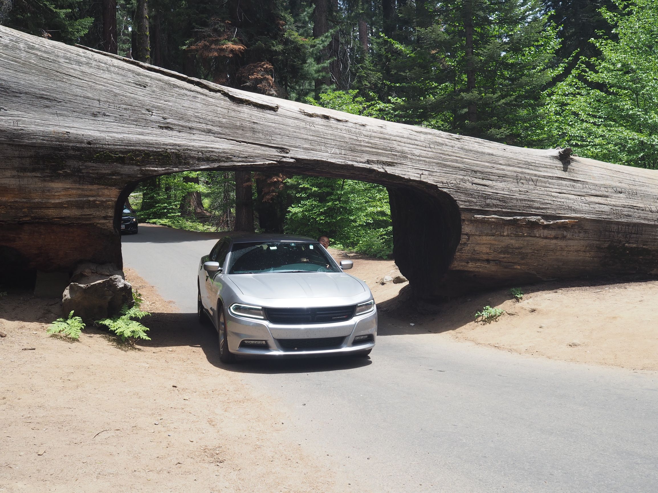 美国自驾游攻略最新,美国旅游攻略自由行