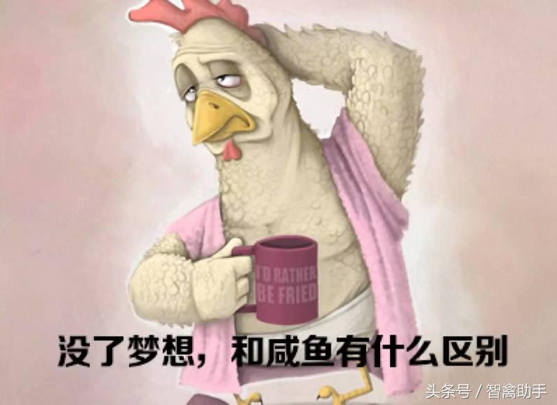 小鸡啄肛什么原因,鸡子啄鸡蛋是什么原因