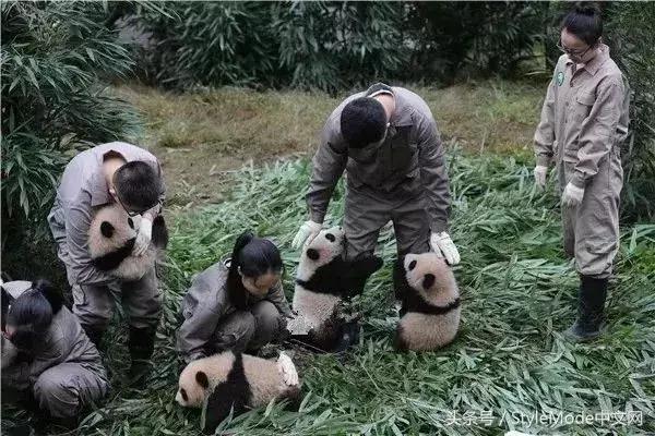 据说只要看到这双“雪地靴”，姑娘们都会挪不动脚！