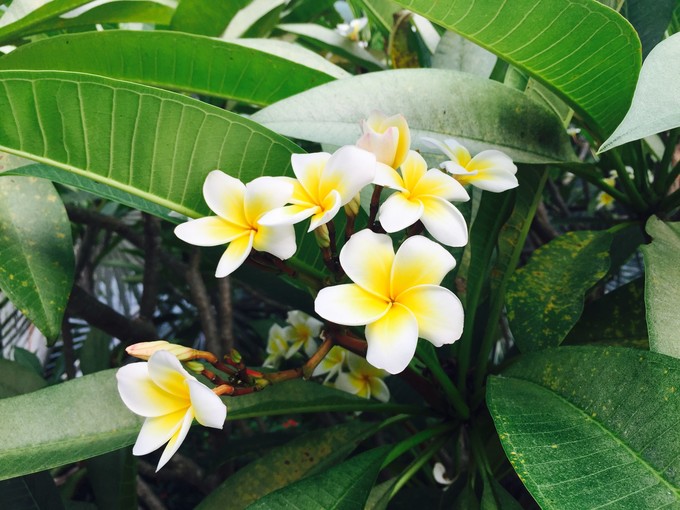 我们和孩子一起去三亚旅行,一大两小亲子三亚游