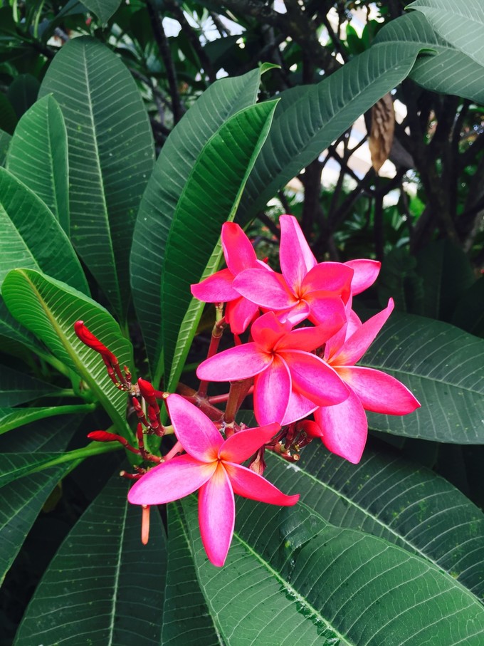 我们和孩子一起去三亚旅行,一大两小亲子三亚游