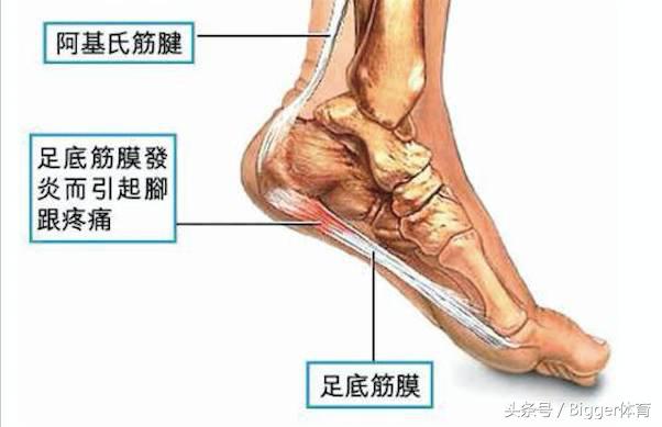璺戝弸璁板綍绮惧僵鐗囨,璺戝弸绮惧僵鐬棿