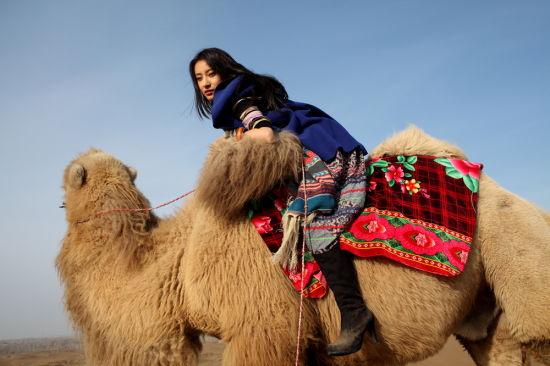 四位女主持人哪位最漂亮,体育最漂亮女主持人