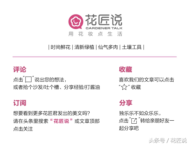 多菌灵给烂根发财树浸泡消毒配比,烂根的发财树怎样快速生根