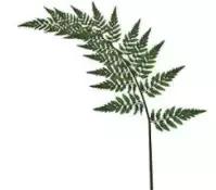 花更少的钱买更好的品质,如何才能真正的买到正品