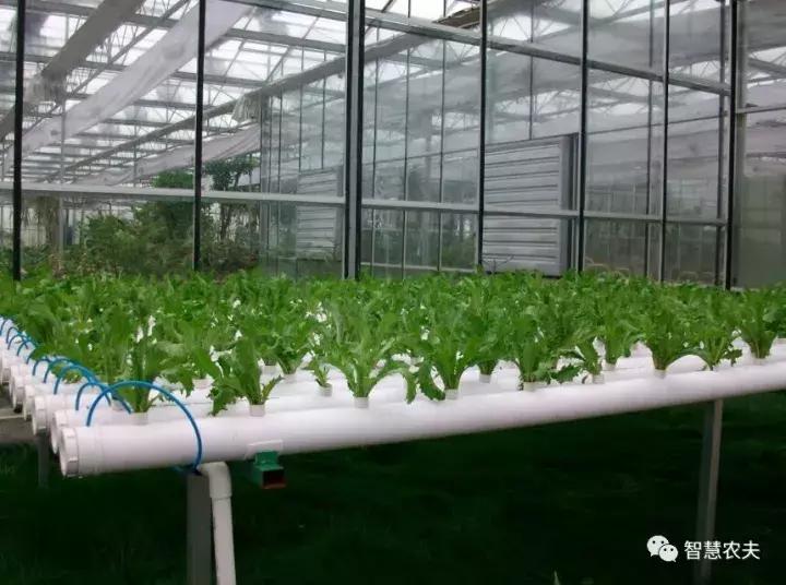 无土栽培营养液配方表,无土栽培技术视频大全