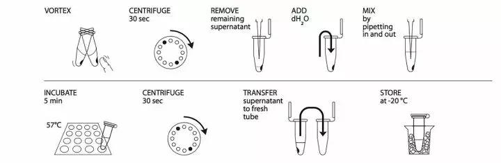 蓝鳍金枪鱼辨别真假,蓝鳍金枪鱼大腹如何辨认真假
