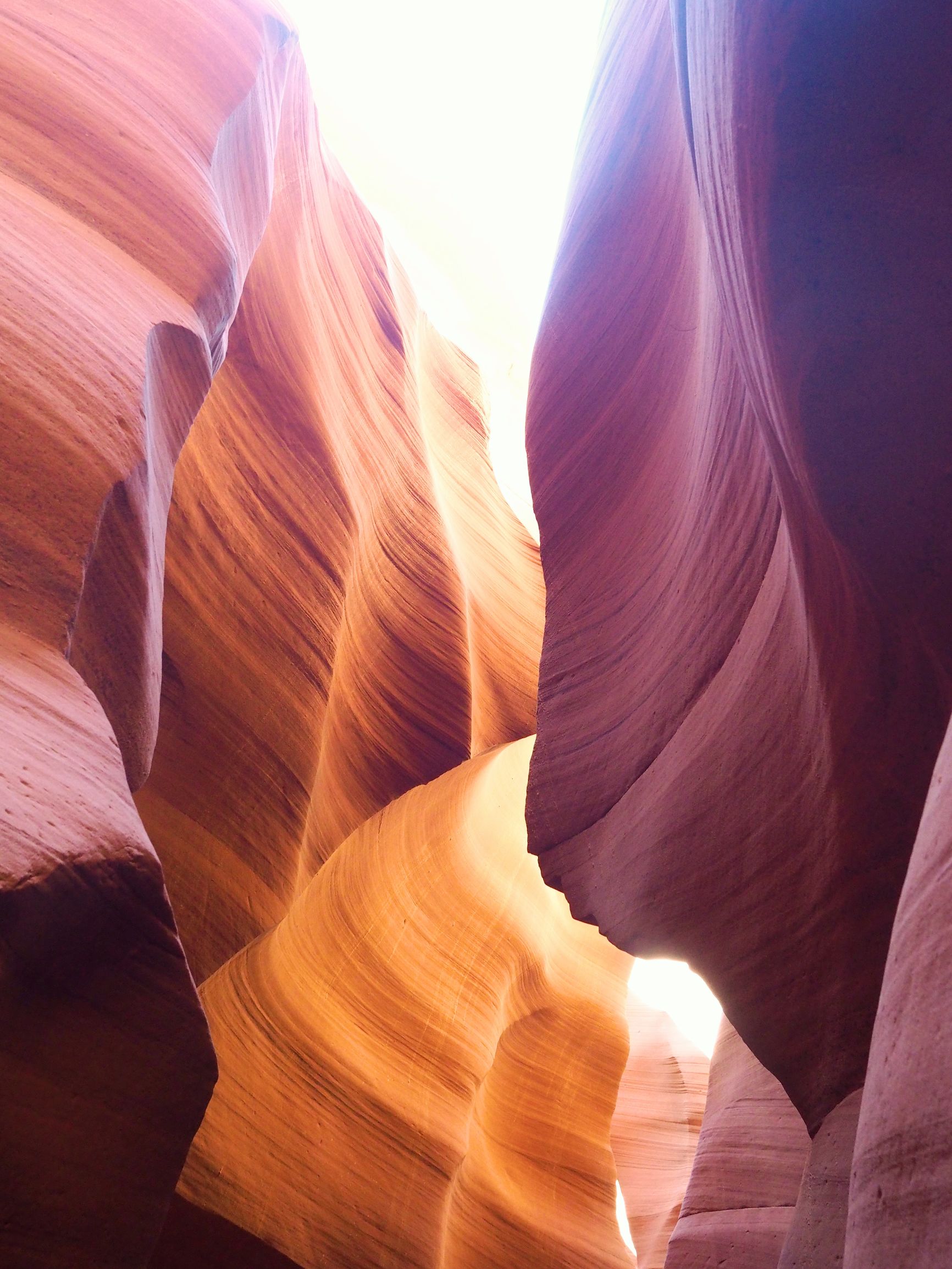 美国自驾游攻略最新,美国旅游攻略自由行